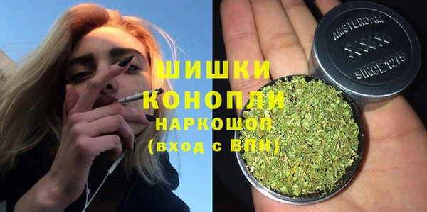 spice Богородицк